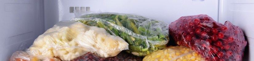 congelador-foto congelador-foto