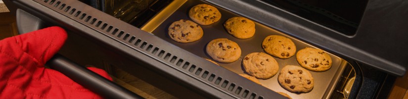 horno-electrico-foto horno-electrico-foto